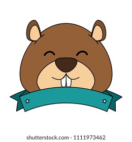 cute canadian marmot with ribbon