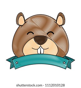 cute canadian marmot with ribbon