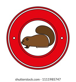 cute canadian marmot seal
