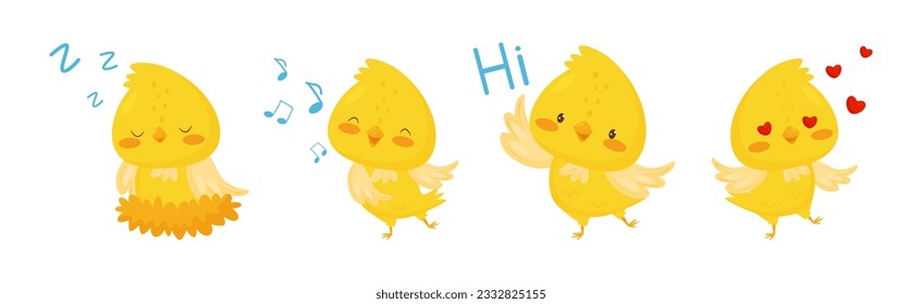 Cute Canary Bird with Bright Yellow Feathers Vector Set