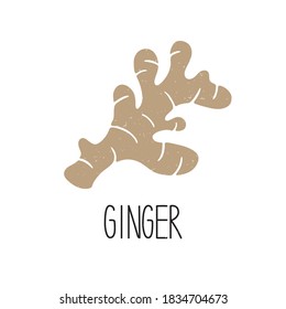 Cute caption ginger root plant isolated on white background. Spicy herb pictogram original design. Vector shabby hand drawn illustration