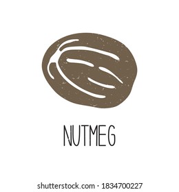 Cute caption nutmeg isolated on white background. Spice pictogram original design. Vector shabby hand drawn illustration