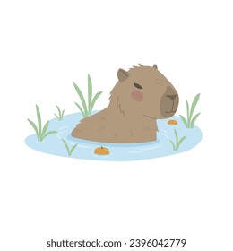 Cute capybara bathes in a pond