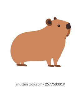 Cute capybara character design. Vector illustration isolated on white background.