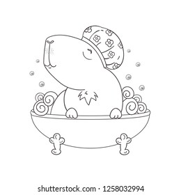 Cute capybara enjoying the bath. Funny animal character takes a bath. For coloring book.