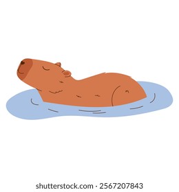 Cute capybara. Exotic rodent swimming in pond. Hand drawn vector illustration