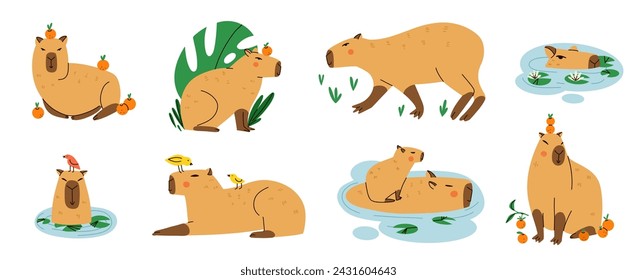 Cute capybara. Funny capibara, adorable exotic animal swimming, standing and sitting. South America mammal relaxing, tropical leaves and oranges. Cartoon flat style isolated vector illustration set