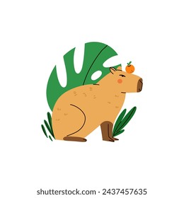 Cute capybara. Funny capibara, adorable exotic animal with orange and tropical leaves standing. South America mammal relaxing, tropical leaves and oranges. Cartoon flat isolated vector illustration