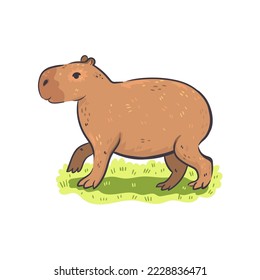 Cute capybara isolated on white background. Vector graphics.