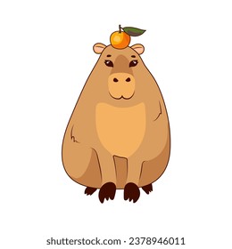 A cute capybara with a juicy fragrant orange on his head stands on a white background, isolate