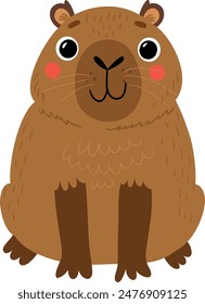 Cute capybara on white background
