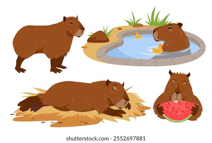 Lindo conjunto de capibara. Animal de América del Sur, retrato de roedor con poses divertidas colección, bebé capibara bañándose, sentado y acostado a dormir, comiendo dibujos animados de sandía.