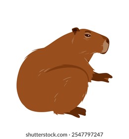 Cute capybara sitting. Side adorable portrait of capibara with brown fur, paws and kawaii muzzle, wild big semi aquatic rodent with funny pose, cheerful animal character cartoon vector illustration