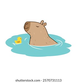 Cute capybara swims in the water with a rubber duck. The capybara squints with pleasure. A rodent. Vector illustration for design and web.