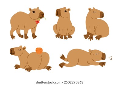 Capibara lindo en varias poses Conjunto de Ilustración vectorial Capibara divertido, adorable animal exótico relajante de pie y sentado impresión o cartel de mamíferos de América del Sur. Vector aislado plano de la historieta fijado