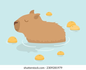 Cute Capybara vector design. Capybara in Japanese Onsen hot spring. Capybara and oranges. Kawaii drawing, funny illustration.