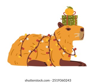 Cute capybara wrapped in garland with lights holding gift box and tangerine on it's head flat vector illustration isolated on white.