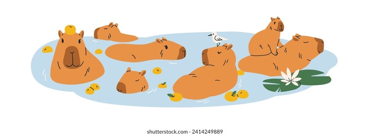 Cute capybaras bathing in water. Funny capibaras swimming in pond. Happy lazy animal characters enjoying, relaxing. Adorable capy rodents group. Flat vector illustration isolated on white background