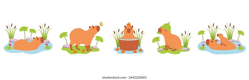 Conjunto de caracteres capybaras bonito. Capibaras em diferentes ações, eles nadam na água, tomam banho, caminham, comem.