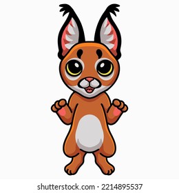 Cute caracal cat cartoon standing