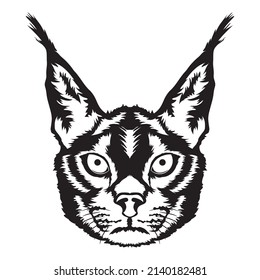 Cute Caracal face vector illustration in hand drawn style, perfect for t shirt design and mascot logo