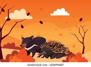Cute card with animals of Australia. vector illustration design.