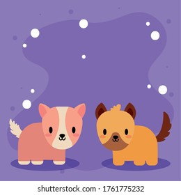 cute card with guinea pig and dog, kawaii vector illustration design