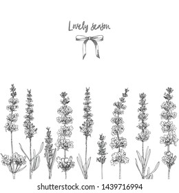 Cute card with of hand drawn sketch of Lavender flower and cute bows isolated on white background. France provence retro pattern for romantic fresh design concept. Vintage vector illustration.