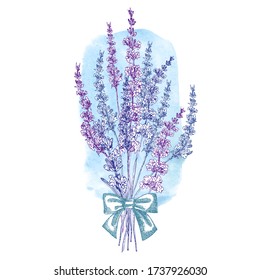 Cute card with of hand drawn sketch of Lavender flower and small bow isolated on white background. France Provence retro pattern for romantic design concept Place for text Vintage vector illustration.
