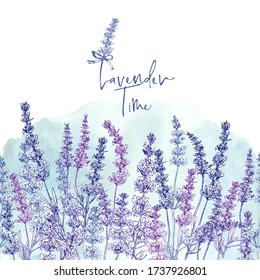 Cute card with of hand drawn sketch of Lavender flower and small bow isolated on white background. France retro pattern for romantic design concept. Text Lavender time Vintage vector illustration.