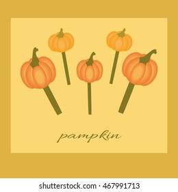 Cute card with pumpkins.Greeting card with Halloween or Thanksgiving.Vector illustration