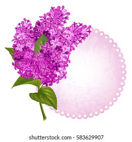 Cute card with spring flowers. Gentle fragrant violet branch of lilac and frame for your text. Vector illustration. Isolated on white background.