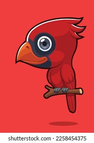 Cute Cardinal Bird with Red Background