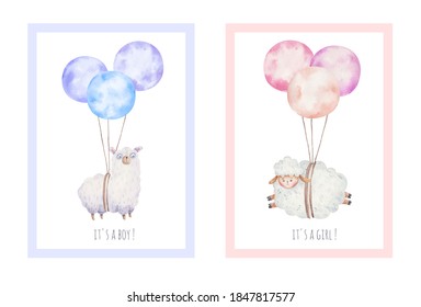 cute cards, baby shower, it's a boy and it's a girl, childish design with llama and sheep on balloons, watercolor illustration