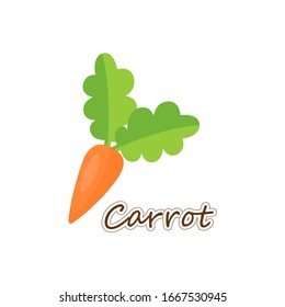 Cute carrot with green leaf isolated on white background.Simple vegetable flat icon design.Using for clipart ,logo.Vector.Illustration.