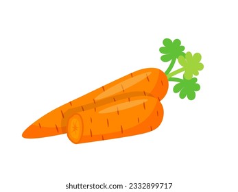 Cute carrot with green leaves, healthy vegetable for cooking vector illustration. Cartoon fresh orange carrot harvest from agriculture farm garden, food production isolated on white background.