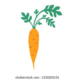 Cute carrot icon. Vector flat hand drawn illustration in cartoon style	