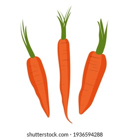 Cute carrot isolated on white background. Vegetables with carotene. Illustration for printing in grocery online stores, children's decor. Vector graphics.