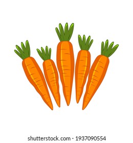 Cute carrot isolated on white background. Vegetables with carotene. Illustration for printing in grocery online stores, decorative pillow, decor. Vector graphics.