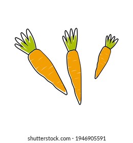 Cute carrots isolated on white background. Vegetables with carotene. Illustration for printing in grocery online stores, children's decor, clothes, toys. Vector illustration.