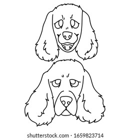 Cute carton cocker spaniel dog and puppy breed face lineart vector clipart. Pedigree kennel doggie for dog lovers. Purebred domestic pet for pet parlor illustration mascot. Isolated canine English.