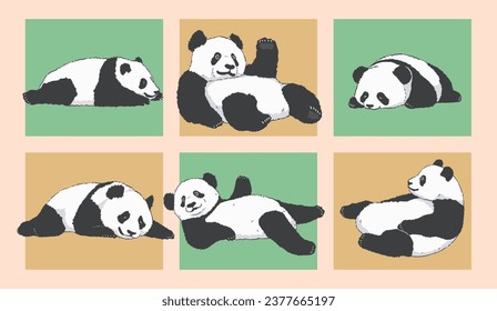 Caricatura suave adorables pandas perezosos tumbados en el suelo Juego de ilustraciones