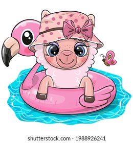 Cute Cartoon Alpaca in swimming on pool ring inflatable flamingo