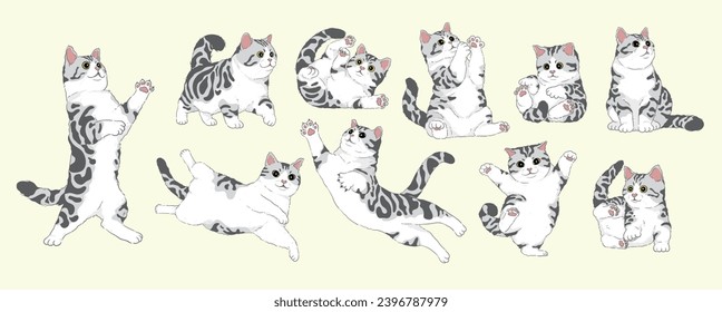 cute Cartoon American Shorthair Silver Tabby White cat set,Isolated. Vector illustration	