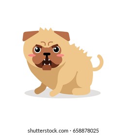 Cute cartoon angry pug dog character vector Illustration