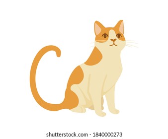 Cute cartoon animal design red striped domestic cat adorable animal flat vector illustration