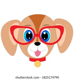 cute cartoon animal with red glasses vector illustration	