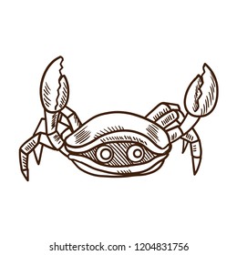 Cute cartoon animals concept. Sea cute and funny crab. Vector illustration isolated on white background, in style of engraving.