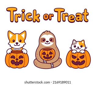 Cute cartoon animals with Halloween pumpkins and text Trick or treat. Corgi dog, sloth and cat. Funny characters set, vector clip art illustration. 
