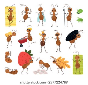 Cute cartoon ant. Funny ants working, communication, rest and nursing for larvae. Insects activity in various poses, forest flora and fauna classy vector characters